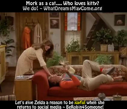 mork cat2